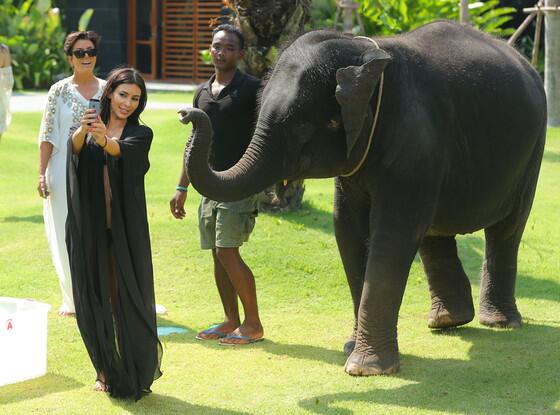 eentertainment's tweet photo. Kim taking a selfie with an elephant is the best thing we've seen all day: http://t.co/OSSdCR2FTY http://t.co/Vkl5WgQEnb