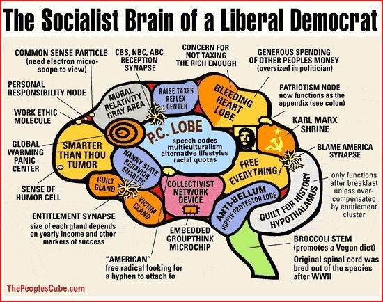 truckerbooman's tweet image. When a #Conservative brain doctor #Examines the brain of a liberal democrat..you get the facts #MTsen #NCsen #MSsen