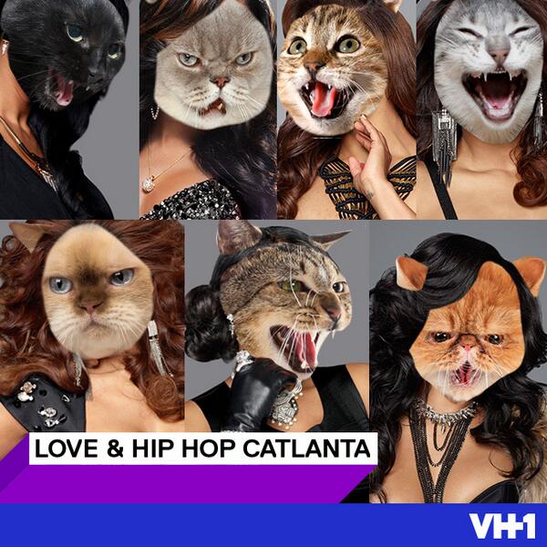 VH1's tweet photo. #GetCatty w our new programming! Introducing: Love & Hip Hop Catlanta, Love & Hip Hop Meow York and Mob Cats! http://t.co/MiFIUxFLfD
