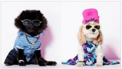 RuggedBear's tweet photo. Happy April Fool's Day! Check out these good ones - http://t.co/xJmTLZL3Kz #AprilFoolsDay #ruggedbear http://t.co/uIVRIRoPuk