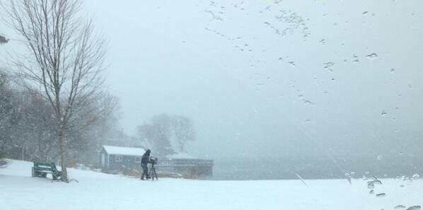 JaysonBaxter10's tweet image. Found him. I better turn the heater down. Getting warm in the car. #strongworkJeorge