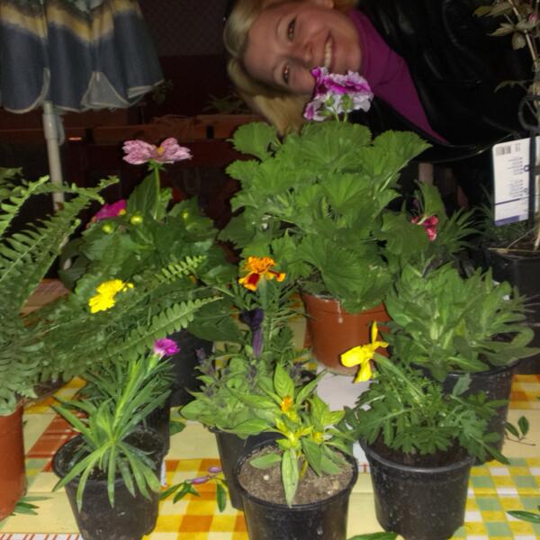 HacklEdit's tweet image. Kiskertész