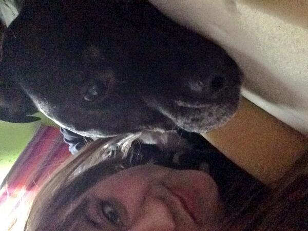 Ellissamarrie_'s tweet photo. My best friend. #sisumarrie #pitbull #pitbulllive #pitsneedlove http://t.co/DJVP8pCzNW