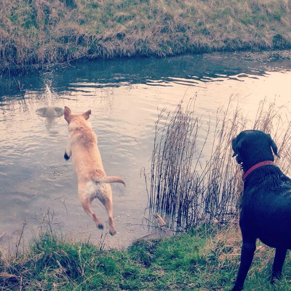 k8viv's tweet photo. Favourite pic of the day. http://t.co/jGh2qquUCF