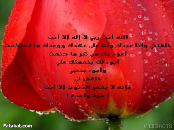 happyb_b's tweet photo. http://t.co/N8V6ihAvkC
