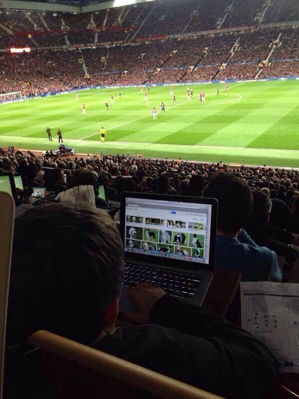 BkKRg8WCcAA6Fd2 Revoke his Press Pass! A journo is shopping online for dogs at Manchester United v Bayern [Picture]