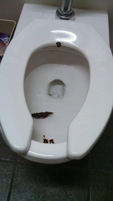 TrueMacGruber's tweet image. Pulled a little #AprilFools prank today. Took a deuce in the Colonel&apos;s bathroom sans flush &amp;amp; told him it was Piper