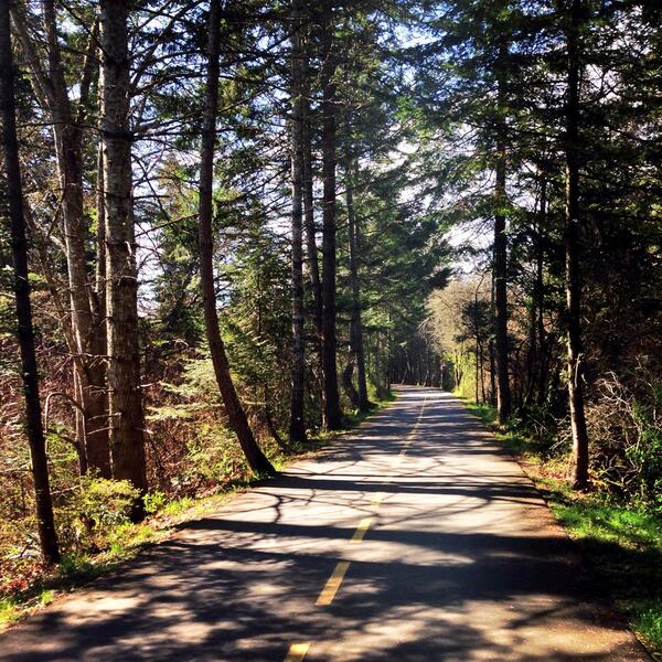 beckycrocker_'s tweet image. Beauty cross train bike ride today! 25 kms along the galloping goose! #plusffteen #beatifulbc #vancitymarathon