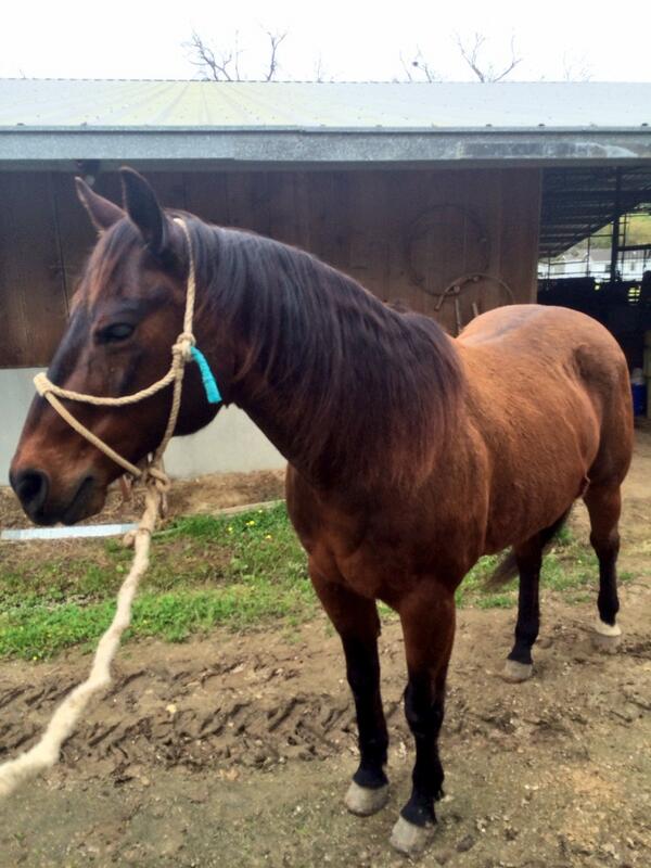 JaciLott's tweet photo. Old and retired and still runs things... Thank u @Shanehanchey http://t.co/5kKDhAw5Av