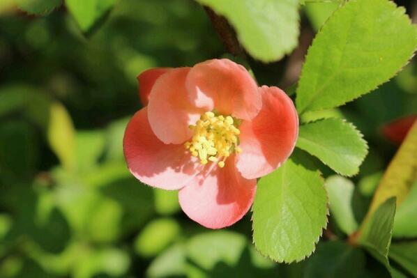 vㅔ리굳 (@nathana29el) on Twitter photo 