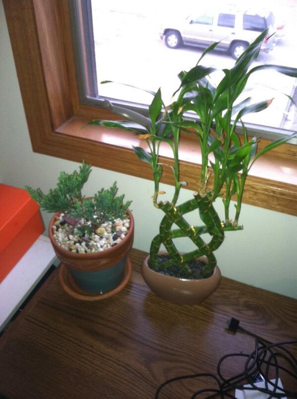 TheRealLarryB4's tweet photo. Got a new friend today... Everyone meet my good friend boomer! http://t.co/Erh3PwGjYP