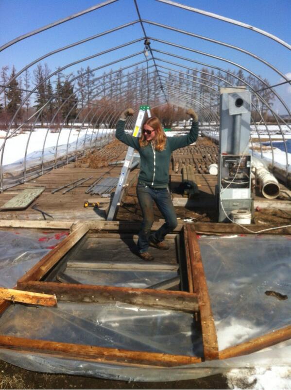 RiverbendGarden's tweet photo. Tearing down greenhouse 5 #courtney #sostrong #likeaboss #blueskys http://t.co/7LHq2MuuFN