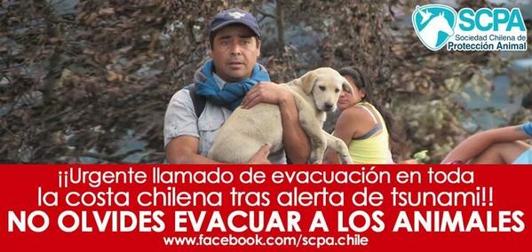 ceroemision's tweet image. “@CerrillosCL: RT http://t.co/qjxnFsB92Z”