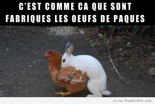 kerlam2's tweet photo. @Mauraneofficiel  amis de la poésie bonjour !!!! 😻 http://t.co/0CaMmBeYIh