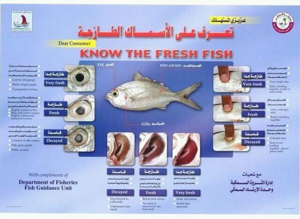 6shae110's tweet photo. كيفية التعرف علي السمك إذا كان طازج من عدمه  #غرد_بصورة http://t.co/ceCOqnhgiF