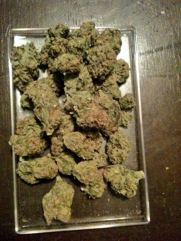 _beautyNmurda_'s tweet photo. #HiCunt #I'm #HighCunt @Drug_porn http://t.co/JARpU3oz8v