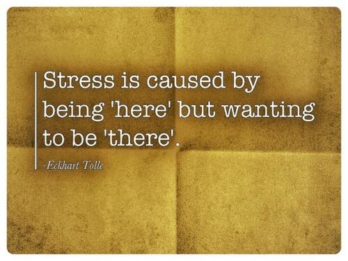 wright_jenna's tweet photo. “@debsylee: Why so stressed? http://t.co/l4vrKAtqyx”