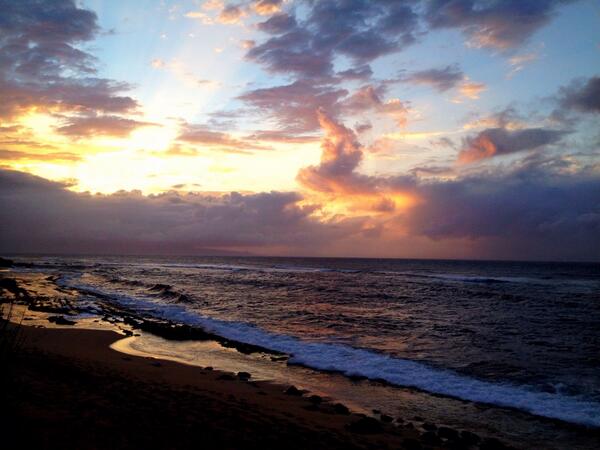 erinmielzynski's tweet photo. Sometimes you need to put life on hold... At least until tomorrow #grabasurfboard #jointheturtles http://t.co/Y5g2o5TSDw