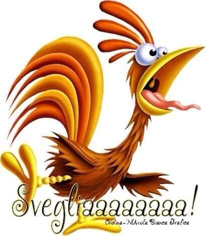 OPramparo's tweet photo. La sveglia continua a dir...ma io nn riesco...nn ce la faccio... http://t.co/5x310h0omm