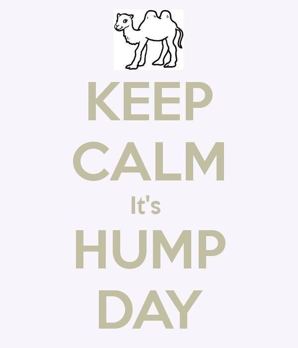 LukeNPC's tweet photo. Yes. Yes, it is. #HumpDay http://t.co/eH2Ryt8V86