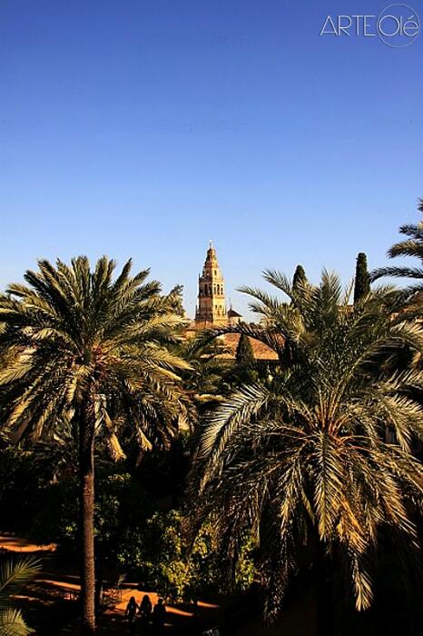 educagenios's tweet photo. Rincones de #Andalucía... Alminar de la Mezquita entre palmeras, Córdoba. http://t.co/EdeQ6Wdy1i http://t.co/DkizgrKKUi