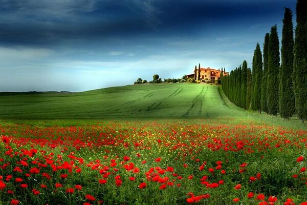 Gabriele_Corno's tweet image. Spring in Tuscany by Josef Palfrader #poppies #cottage