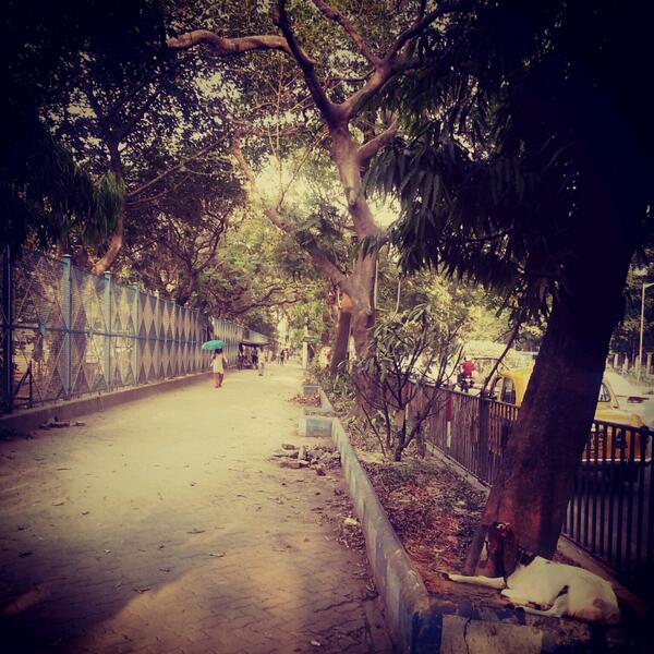 aninditagh's tweet image. My #foolishly happy April. Day 2- road next 2 the kolkata lakes&amp;amp; vivekananda park :D