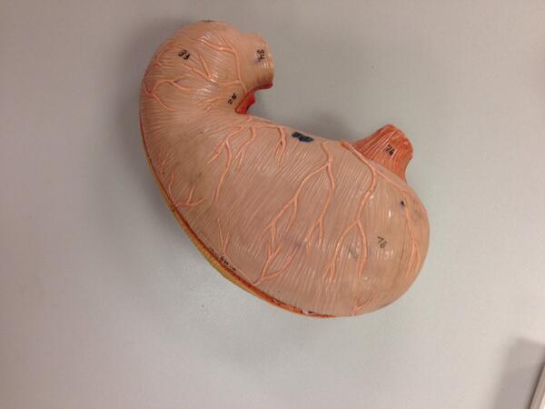 BPeck4's tweet photo. So hungry.. And looking at a stomach makes it worse.. http://t.co/iagTLeeAC6