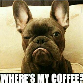 Instead of emojis, I like to send people pictures of dogs. Me rn: http://t.co/S7psaFTsT7