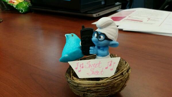 kylebaxter's tweet image. Tweet tweet #csdtech3