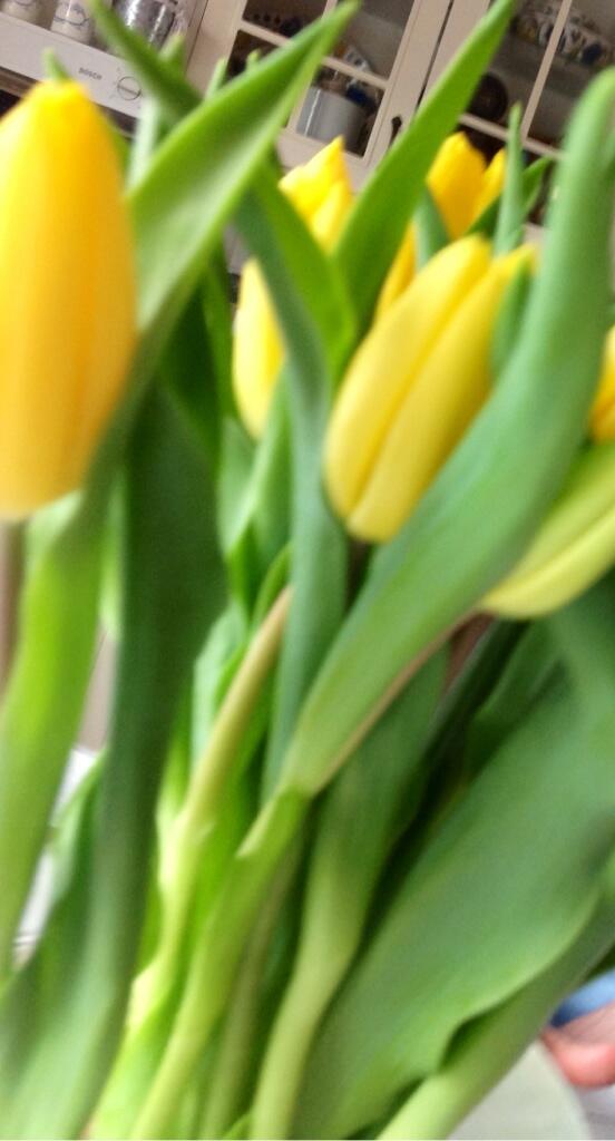 KvistAnne's tweet image. Irti rutiineista, tulppaanikimppu perjantain sijaan jo tänään. #pienetilot