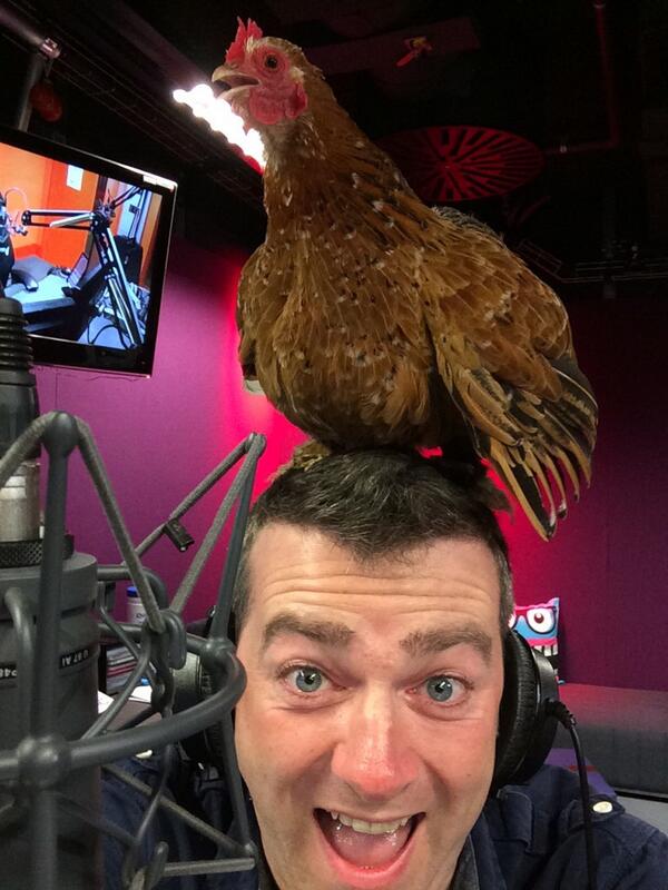 BBCNewsbeat's tweet photo. Here's @itschrissmith presenting @BBCR1 1830 entertainment news with a hen on his head #henselfie http://t.co/KLrMelqgU7
