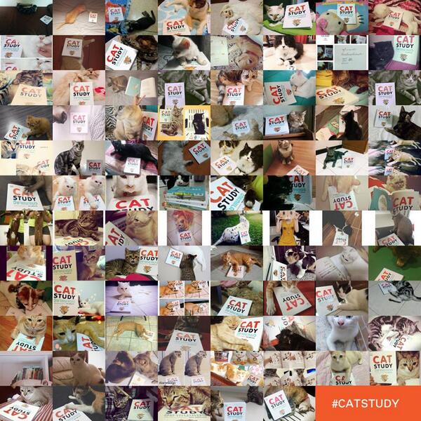 tpagon's tweet image. รวมบรรดาแมวน้อยใหญ่ที่ช่วยกันติดแท็ก #catstudy มาให้ครับ ​:) (กว่าร้อยตัวแล้ว)