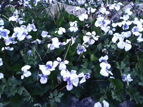 start4end's tweet image. 놀러가고 싶당♥