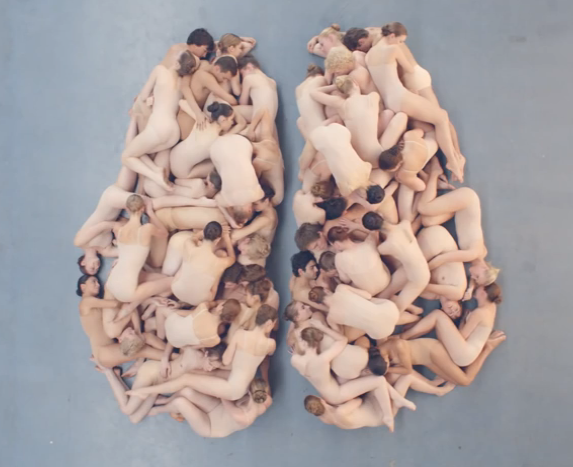 pointe_magazine's tweet photo. Ballet video break time! Watch members of @DutchNatBallet create a model of the human brain: http://t.co/GJFtRW7yfu http://t.co/hrL7ZdPd1c