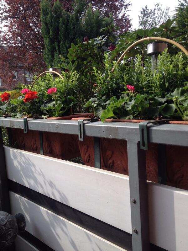 Petra Rieken (@petrarieken) on Twitter photo 