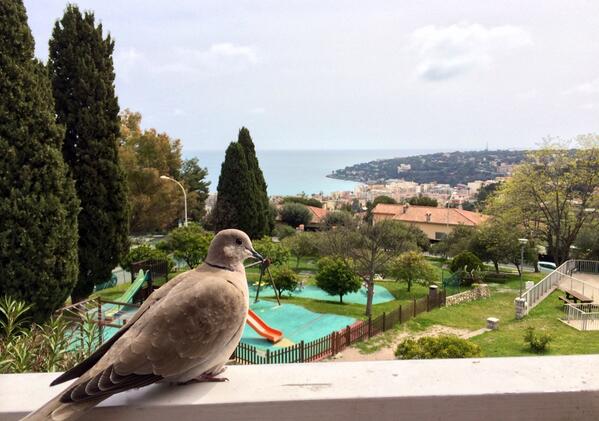 Zorglub63's tweet image. #polytech2014