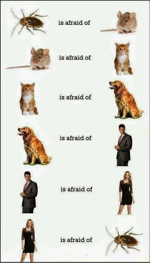 Ilovenostalgia's tweet photo. The Fear Cycle #fearcycle http://t.co/O1HdJDJGOx