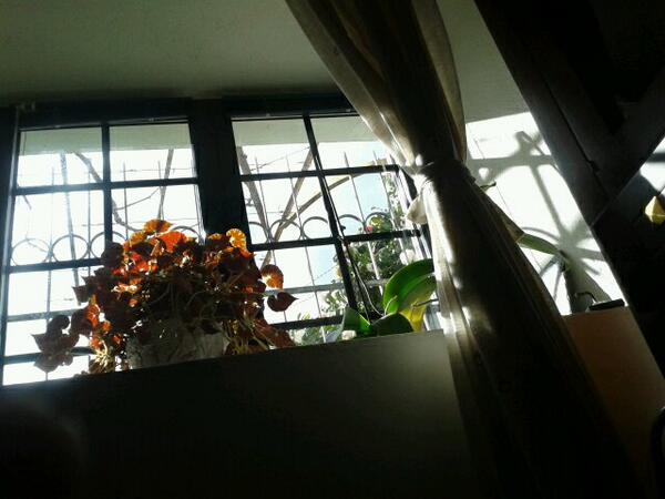 Laurysv's tweet image. #o2sphoto backlight window from the floor. New perspectives and shadows