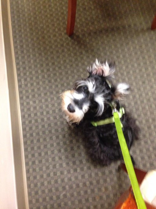 Murphy is going to be a seasoned traveler in no time! http://t.co/R2kpNsIKfj<a href="/tag/gobolts"class="tags"><span>#gobolts</span></a><a href="/tag/lightningstrikes"class="tags"><span>#lightningstrikes</span></a><a href="/tag/boltslife"class="tags"><span>#boltslife</span></a>