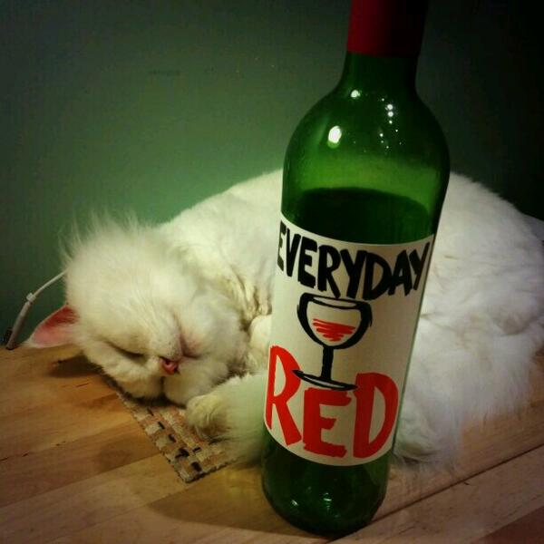 benjamin ho tweet media