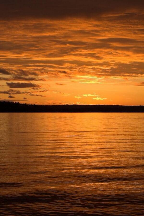 SytileThe's tweet image. Added new photos