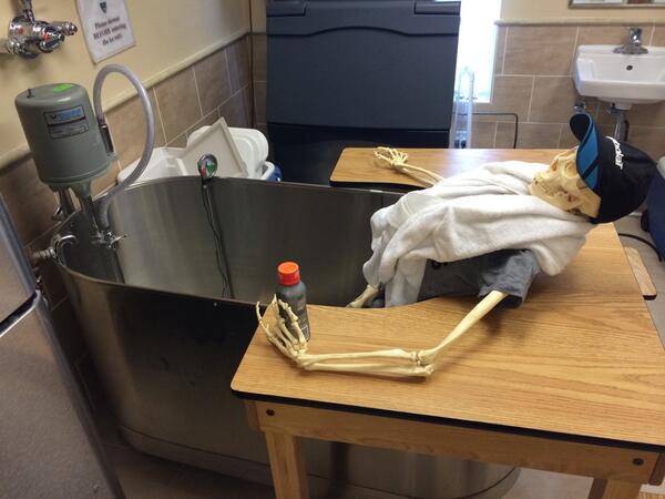 PatrickMcEnroe's tweet photo. "@BuckyLetsDoThis: Recovery day! Massage,huge stretch,protein shake &amp; my favorite, ice bath!! #takethatmuscles http://t.co/vCH1zxbNUy" tough