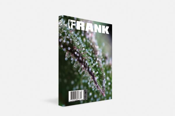 FRANK151's tweet photo. Intro'ing FRANK Special Edition: 420. Preview the upcoming #Chapter420 now at #FRANK151.com: http://t.co/J0IHFHNxoy http://t.co/t3Sw8fuUKl