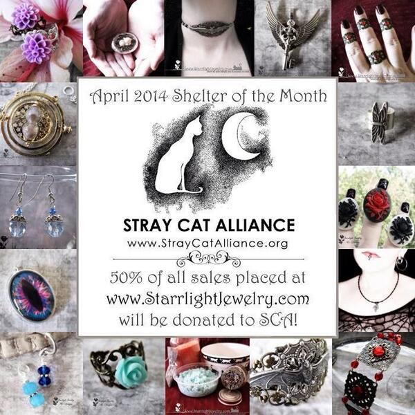StrayCat_SCA's tweet image. We are Shelter of the Month @Lady_Starrlight 50% of applicable sales will be donated to us! StarrlightJewelry.com