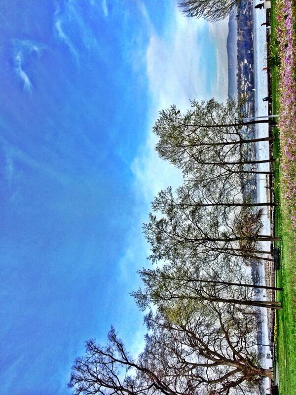 rogerfederer's tweet photo. Great to be in #geneva, love the spring in #Switzerland http://t.co/5SY7pPe5gu
