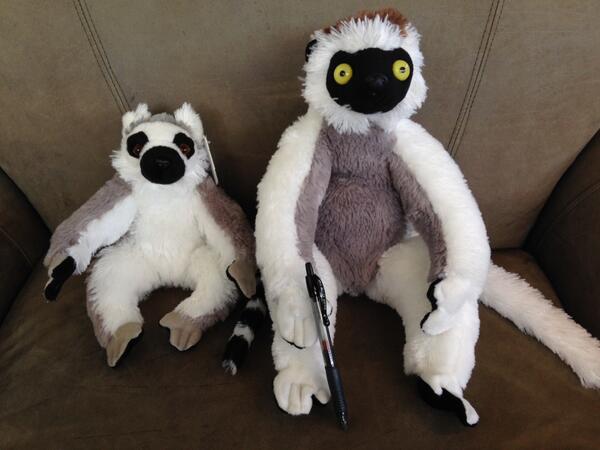 warnerbros's tweet photo. It's #LemurWeek! RT for a chance to win #IslandofLemurs plushies, @IMAX tickets &amp; more! Rules: http://t.co/wIVhXrGsxF http://t.co/NOBXlhUb27