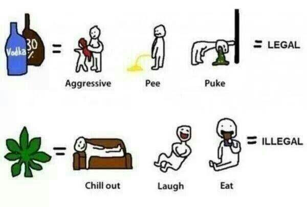 IndianBabes's tweet photo. To stay blazed always We need to legalize weed in india........ http://t.co/bptHCLj1SX
