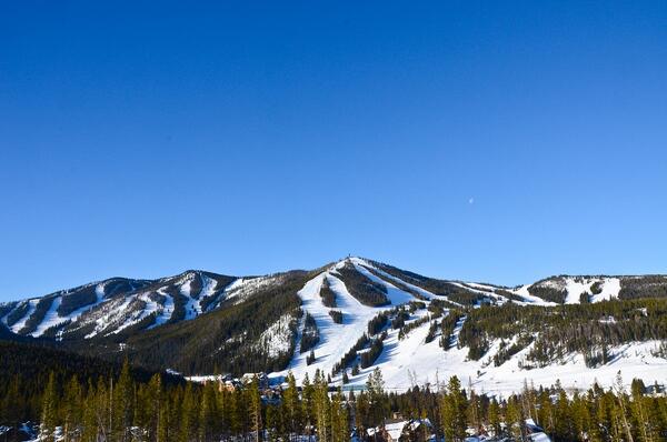 WinterPark tweet picture