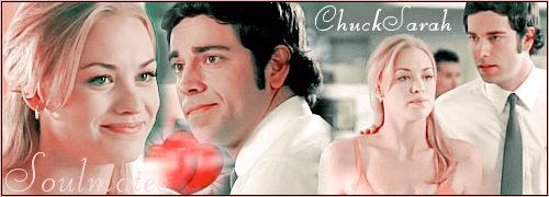 CaroCarletto's tweet photo. @TeamAllisonPrez @melissacts1267 #ChuckSarah #Soulmate http://t.co/EqxeNLhfBu